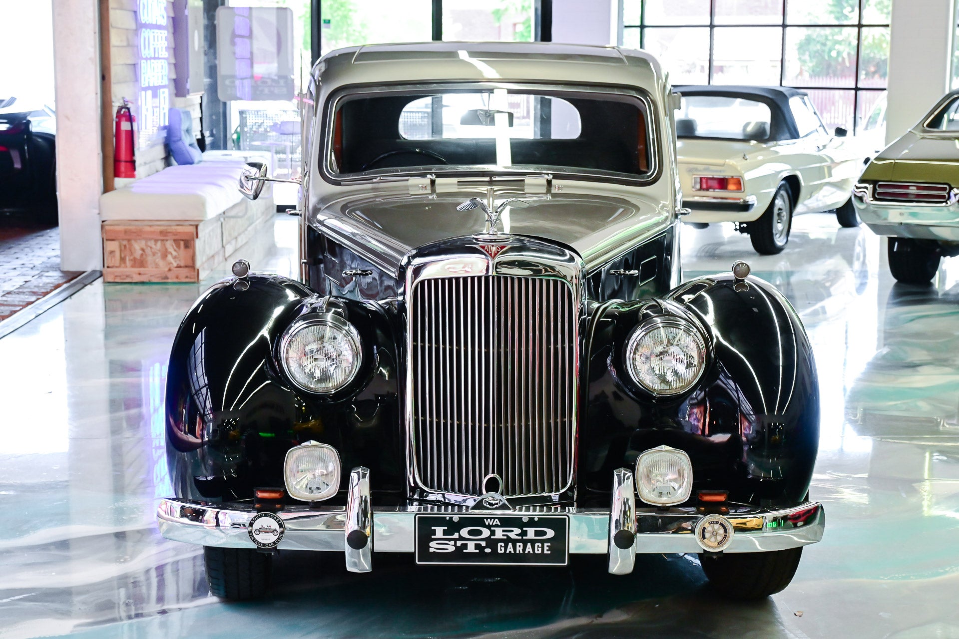 1953 Alvis Three Litre Grey Lady