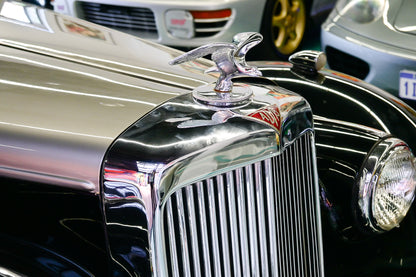 1953 Alvis Three Litre Grey Lady
